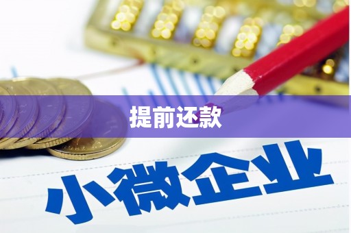 南岔提前还款