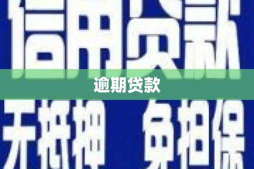 南岔逾期贷款